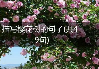 描写樱花树的句子(共49句)