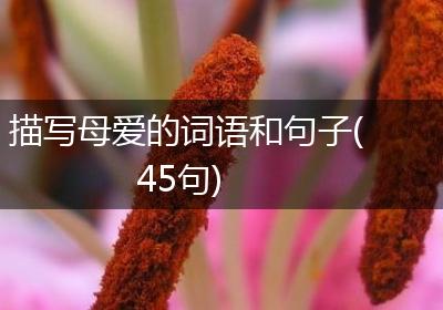 描写母爱的词语和句子(45句)