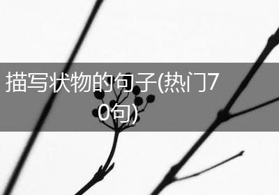描写状物的句子(热门70句)
