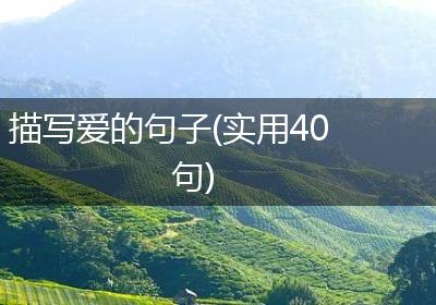 描写爱的句子(实用40句)