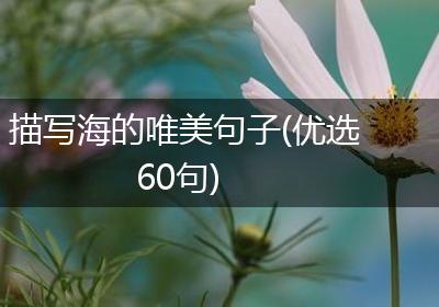 描写海的唯美句子(优选60句)
