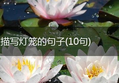 描写灯笼的句子(10句)