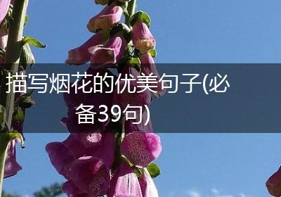 描写烟花的优美句子(必备39句)