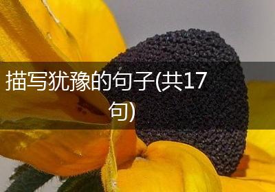 描写犹豫的句子(共17句)