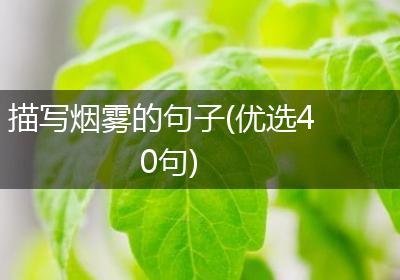 描写烟雾的句子(优选40句)