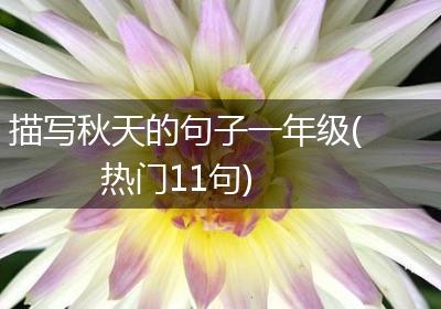 描写秋天的句子一年级(热门11句)