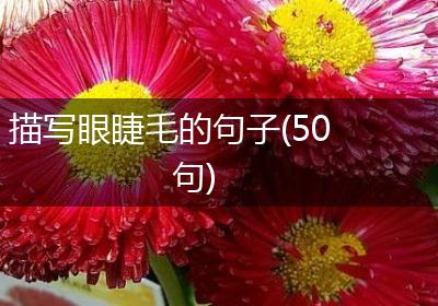 描写眼睫毛的句子(50句)