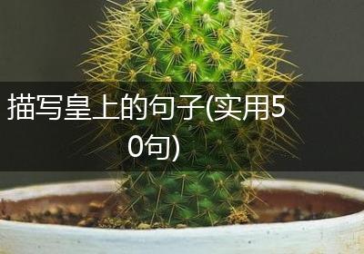 描写皇上的句子(实用50句)