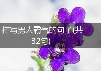 描写男人霸气的句子(共32句)