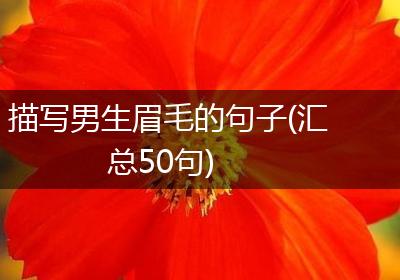 描写男生眉毛的句子(汇总50句)