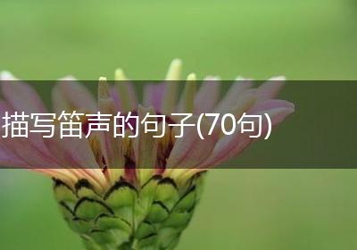 描写笛声的句子(70句)
