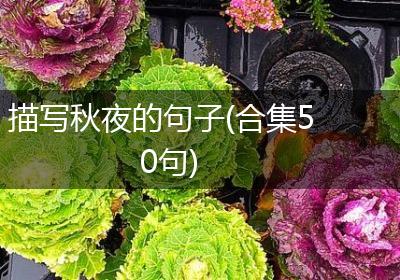 描写秋夜的句子(合集50句)