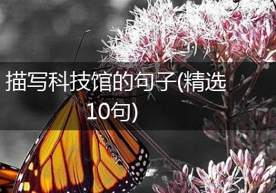 描写科技馆的句子(精选10句)