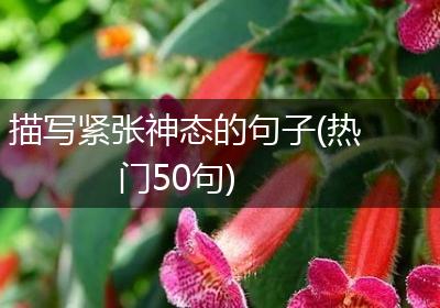 描写紧张神态的句子(热门50句)