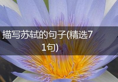 描写苏轼的句子(精选71句)