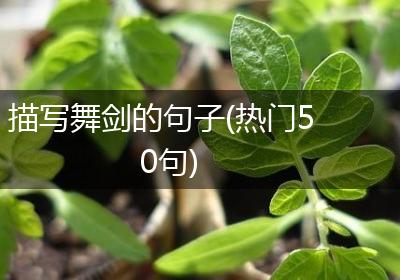 描写舞剑的句子(热门50句)