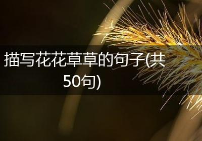 描写花花草草的句子(共50句)