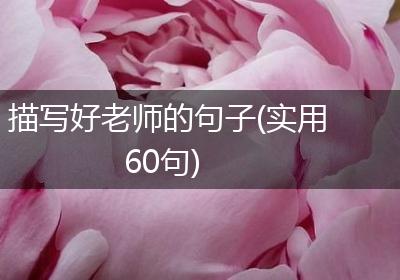 描写好老师的句子(实用60句)