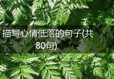 描写心情低落的句子(共80句)