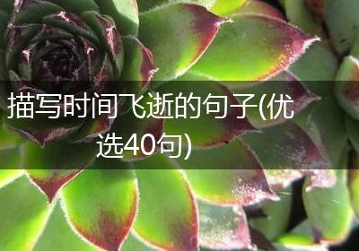 描写时间飞逝的句子(优选40句)