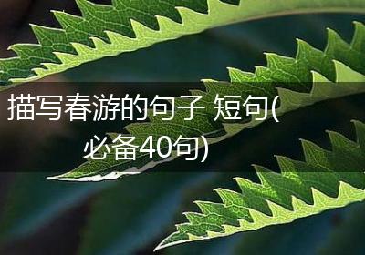 描写春游的句子 短句(必备40句)
