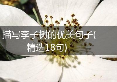 描写李子树的优美句子(精选18句)