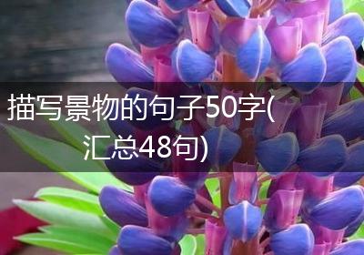 描写景物的句子50字(汇总48句)