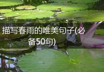 描写春雨的唯美句子(必备50句)