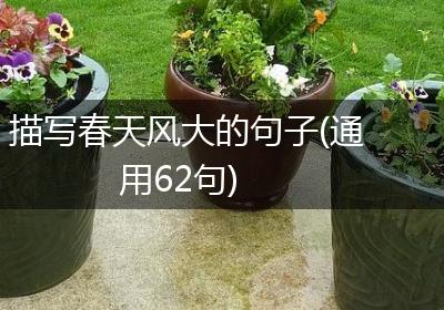 描写春天风大的句子(通用62句)