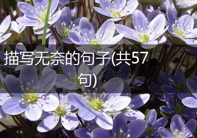 描写无奈的句子(共57句)