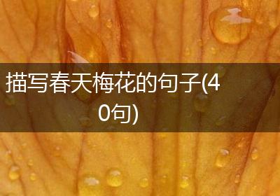 描写春天梅花的句子(40句)