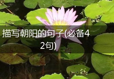 描写朝阳的句子(必备42句)
