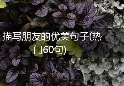 描写朋友的优美句子(热门60句)