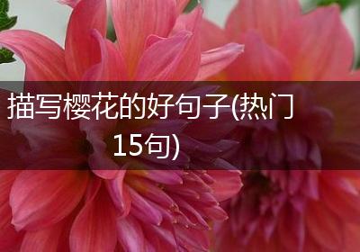 描写樱花的好句子(热门15句)