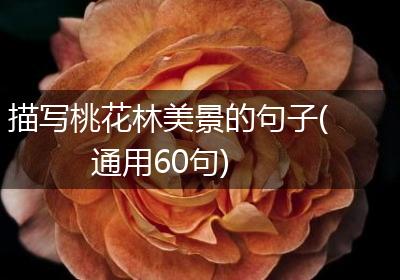 描写桃花林美景的句子(通用60句)
