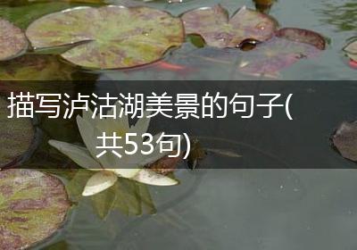 描写泸沽湖美景的句子(共53句)