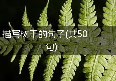 描写树干的句子(共50句)
