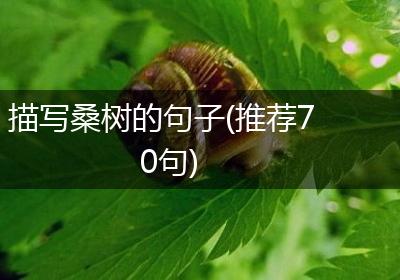 描写桑树的句子(推荐70句)