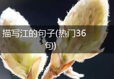 描写江的句子(热门36句)