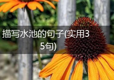 描写水池的句子(实用35句)
