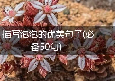 描写泡泡的优美句子(必备50句)
