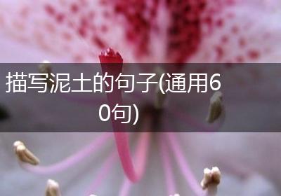 描写泥土的句子(通用60句)