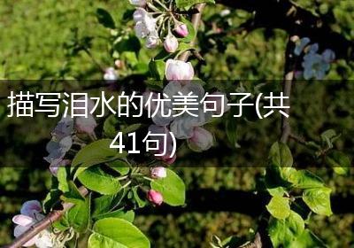 描写泪水的优美句子(共41句)