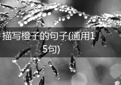 描写橙子的句子(通用15句)