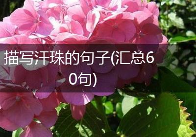 描写汗珠的句子(汇总60句)