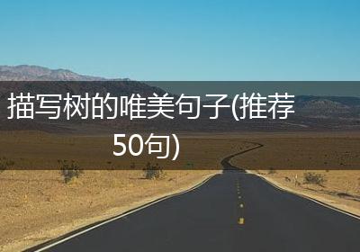 描写树的唯美句子(推荐50句)