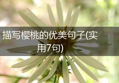 描写樱桃的优美句子(实用7句)