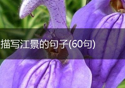 描写江景的句子(60句)