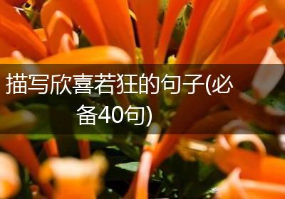 描写欣喜若狂的句子(必备40句)