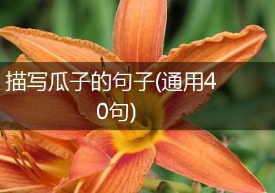 描写瓜子的句子(通用40句)